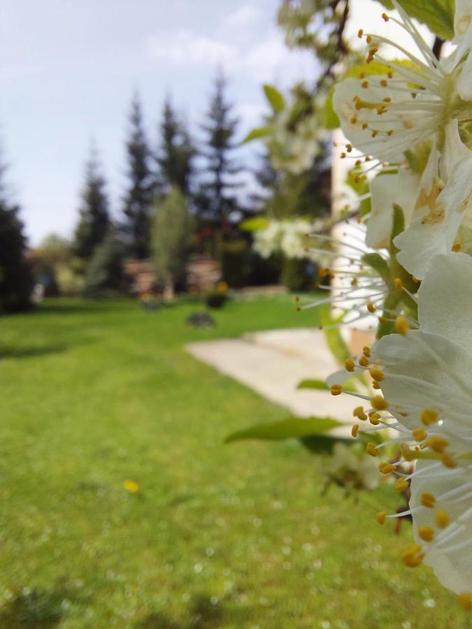 Apartmani Nika Златибор Екстер'єр фото
