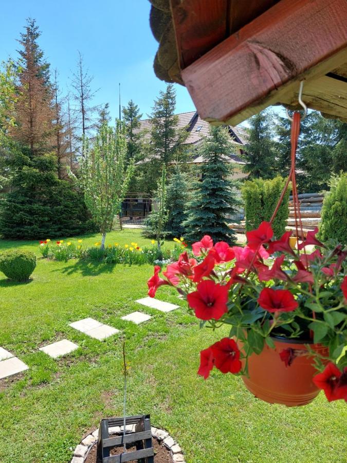 Apartmani Nika Златибор Екстер'єр фото